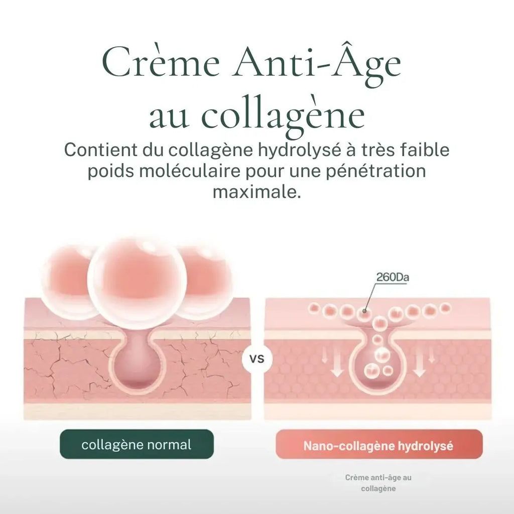 Gelée Anti-Âge au Collagène
