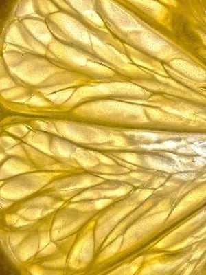 Dérivé de Vitamine C